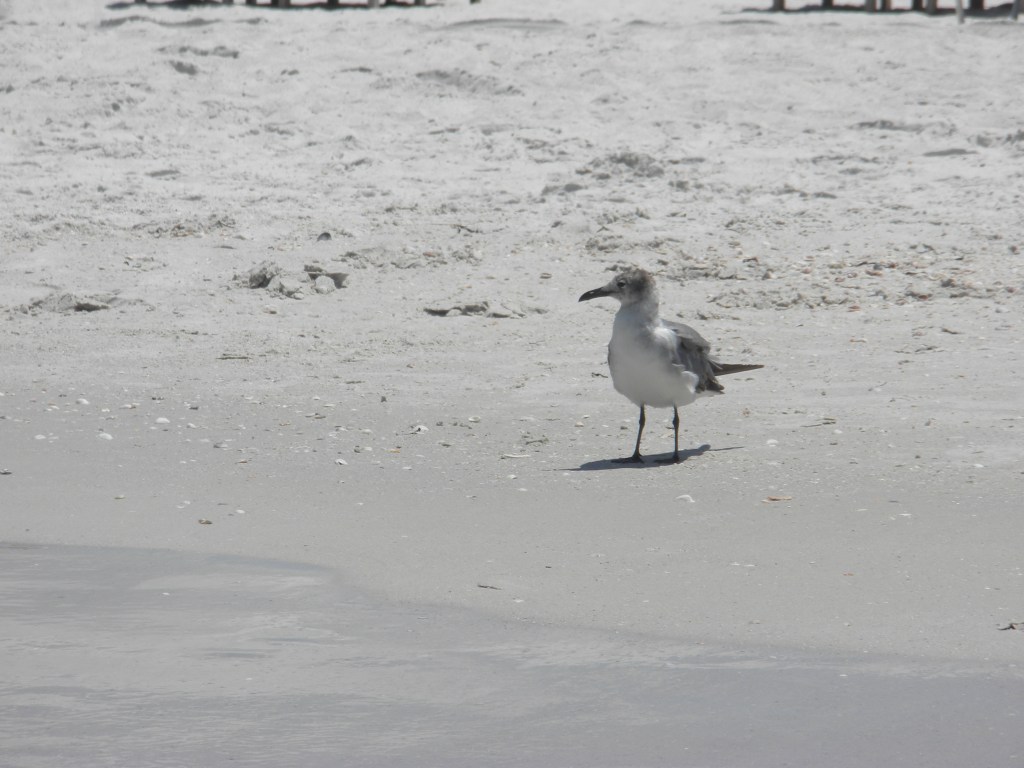 Knowledge of God not Possible without&nbsp;Revelation