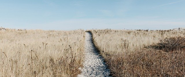 To God Be the Glory: A Brief Stroll through Ephesians 1 &&nbsp;2