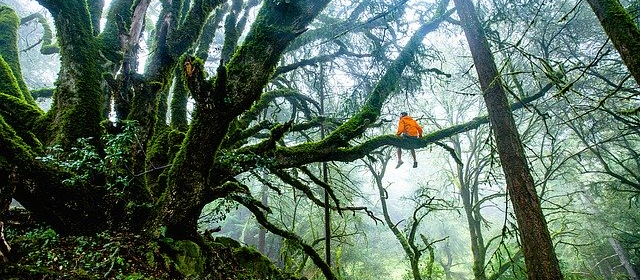 Thoughts on Biblical Death