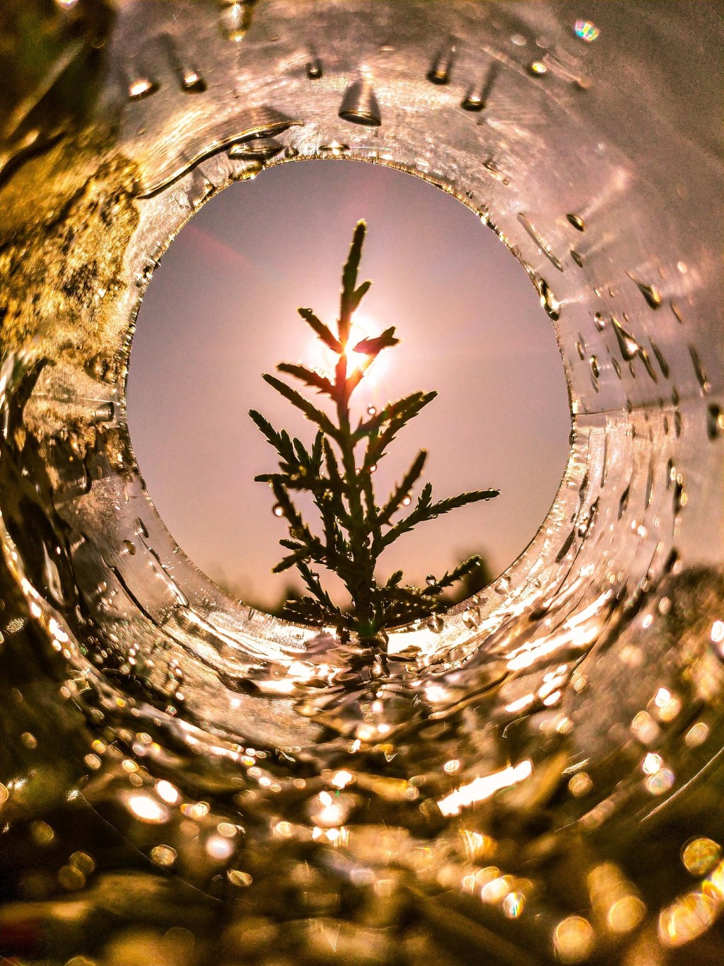 Viewing Life Through the Lens of Scripture: Progressive&nbsp;Revelation